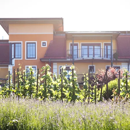 Weinlandhof Отель Гамлиц