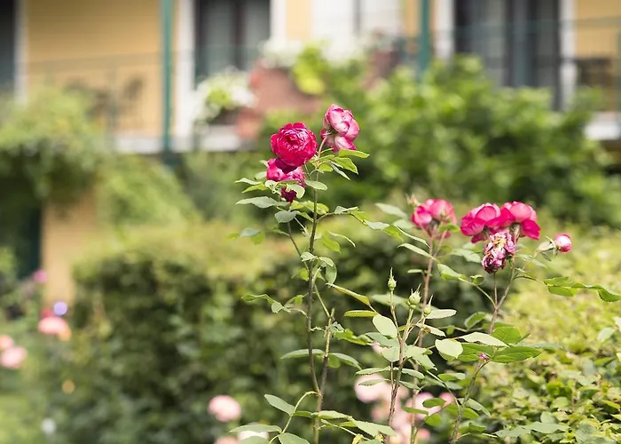 Weinlandhof فندق